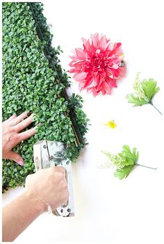 someone is using a camera to take pictures of flowers and plants on the wall behind them