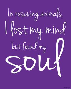 a purple background with white lettering that says, in rescuing animals, i lost my mind but found my soul