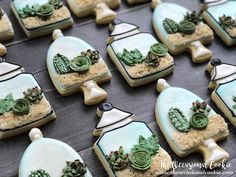 decorated cookies with green frosting and succulents in glass containers on a table