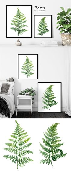 three green plants are hanging on the wall next to a white bed and two framed pictures