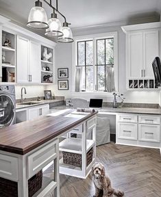 a dog sitting in the middle of a kitchen with white cabinets and wood flooring