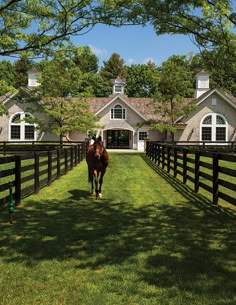 the horse is walking through the fenced in area