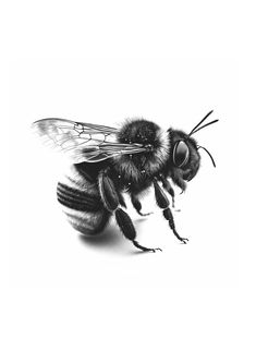 a black and white photo of a bee on a white background with the words bees written below it