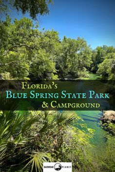 florida's blue spring state park and campground