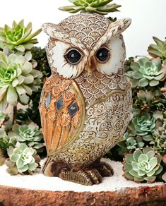 an owl statue sitting on top of a table next to succulents