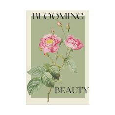 a pink flower with green leaves on it and the words blooming beauty above it