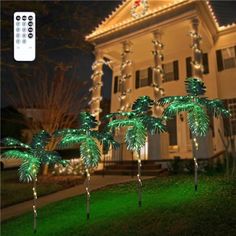 lighted palm trees in front of a house