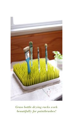 there are toothbrushes in the grass drying rack