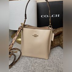 Nwt Coach Bucket Bag 22 Double Face Leather.In Ivory Being Color. Snake -Embossed Leather Strap And Handle. Detachable Handle With 6.75”. Detachable Straps With 22” Drop Shoulder Or Crossbody Wear.Snap Closure. Center Zip Compartment. 8.0”(L) 8.5”(H) 4.0”(W)Style No. Cb901 Cream Rectangular Bag With Gold-tone Hardware, Cream Rectangular Bucket Bag With Removable Pouch, Rectangular Cream Bag With Gold-tone Hardware, Elegant Rectangular Bag In Neutral Color, Elegant Rectangular Bags In Neutral Color, Elegant Rectangular Neutral Bag, Elegant Neutral Rectangular Bag, Elegant Rectangular Neutral Bags, Designer Cream Bucket Bag With Detachable Handle