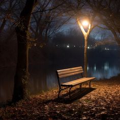 a park bench sitting under a street light next to a tree filled with leaves at night