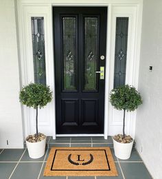 two potted plants sitting on the front steps of a house next to a black door