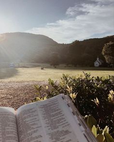 an open book sitting on top of a grass covered field