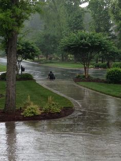 two people walking in the rain with umbrellas on a rainy day at a park