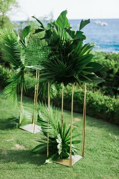 three gold plant stands with plants in them on the grass by the water's edge