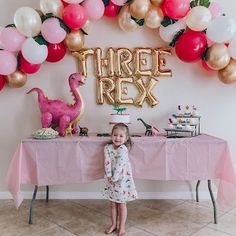 Dinasour Birthday Ideas For A Girl, 3rd Birthday Party For Girls Ideas, 3rd Birthday Party For Girls, Third Birthday Girl, Baby Birthday Themes