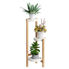 three tiered plant stand with flowers and plants in them on a white background,