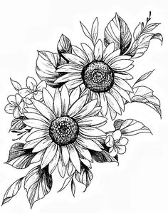 sunflowers are shown in this black and white drawing