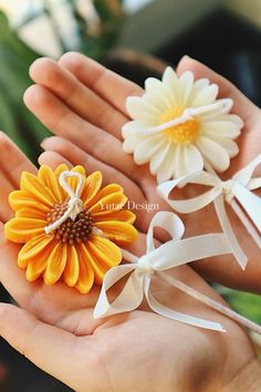 hand holding three small yellow and white flowers in it's palm, with ribbon around the petals