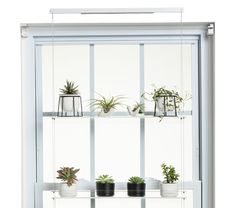 a white shelf with plants on top of it