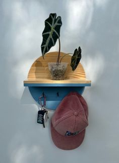 there is a hat and a plant on the shelf next to each other with keys hanging from it