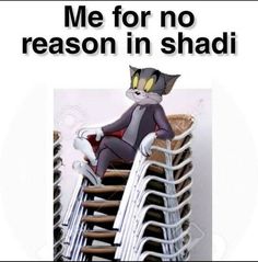 a cat sitting on top of a pile of chairs with the caption me for no reason in shadi