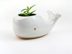 a white ceramic tea pot with a plant in the shape of a whale's tail