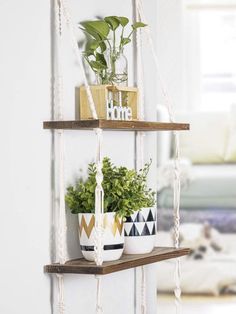 three potted plants are sitting on the shelves in front of a white couch and window