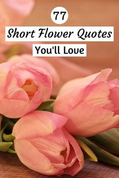 Short Flower Quotes Short Poems About Flowers, Simple Happy Quotes, Flower Quotes Short, Short Flower Quotes, Gardening Quotes Inspirational, Floral Inspirational Quotes, Flower Quotes Love, Flower Quotes Inspirational, Beautiful Short Quotes