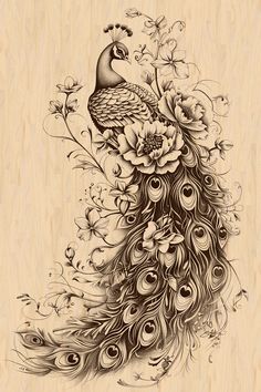 a drawing of a peacock with flowers on it