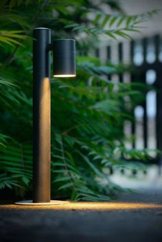 a lamp that is sitting on the ground in front of some bushes and trees,