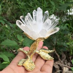 Description: -100% Brand new and high quality -100% Natural quartz crystal rock -Handmade Carved -It is good gift for your friends,families Specificatioin: Type: Natural clear quartz Flower Material:clear quartz Color: clear Net Weight:About:110g+ Size:About 70*65*80mm Note: Because it is 100% natural crystal,,it is hard to keep everyone is same,so these may happen: The size & weight of everyone always is different,it's normal fr the difference. The color may also have some difference with t Crystal Flowers, Quartz Color, Reiki Healing Crystals, Quartz Colors, Crystal Sphere, Energy Crystals, Crystal Collection, Crystal Gifts, Crystals Minerals