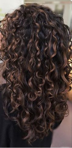 Dimensional Curly Hair Color, Fall Balayage Brunette Curly Hair, Hair Ideas For Natural Curly Hair, Pintura Highlights Curly Dark Brown Hair, Naturally Curly Chocolate Brown Hair, Dark Permed Hair, Lowlights For Curly Hair Dark Brown, Highlights For Black Curly Hair Indian, Natural Curl Highlights