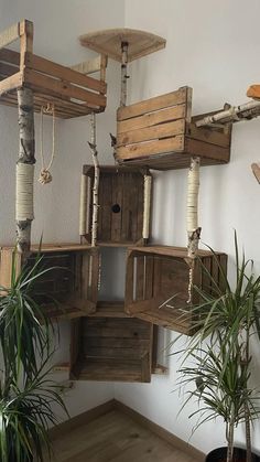 a bunch of wooden crates hanging from the side of a wall next to a potted plant