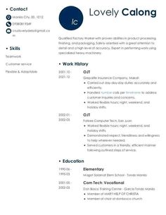 a professional resume with blue and white colors