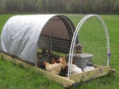 a chicken coop with chickens in it on the grass