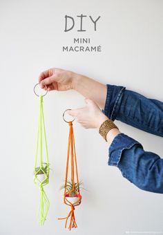 a person holding three small air plants in their hands with the words diy written above them