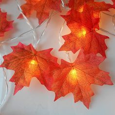 some red leaves are lit up with lights