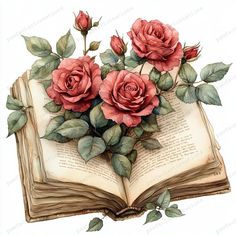 an open book with roses on top of it