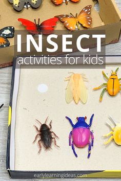 insect activities for kids in a box with text overlay that reads insect activities for kids