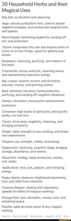 Household herbs & their magical properties Herbs And Their Uses, Magia Das Ervas, Magic Herbs, Under Your Spell, Magical Herbs, Herbal Magic, Baby Witch, Healing Herbs, Kitchen Witch