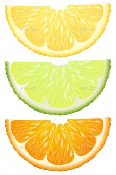 three slices of citrus fruit - food objects