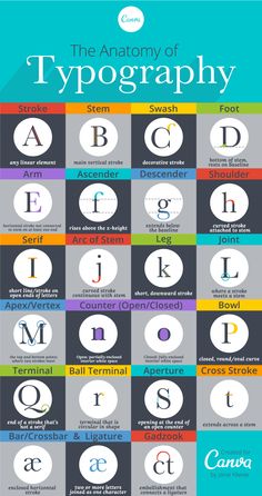 the anatomy of typography poster with different types of letters and numbers on it