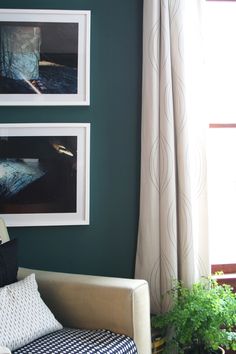 a living room with green walls and pictures on the wall above the couch, along with potted plants