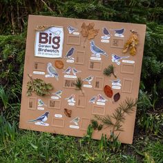 a bulletin board with birds and leaves on it in the grass next to some trees