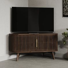 an entertainment center with a flat screen tv on it's stand in front of a potted plant