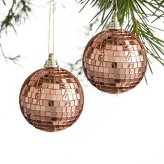 two shiny disco ball ornaments hanging from a pine tree