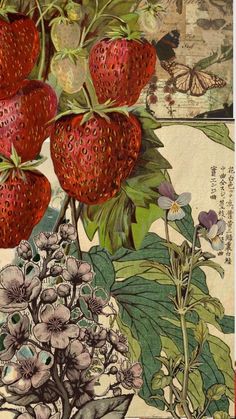 a painting of strawberries and flowers with butterflies in the background on a piece of paper