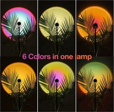 four different images of the same plant in front of a multicolored background with text that reads 6 colors in one lamp