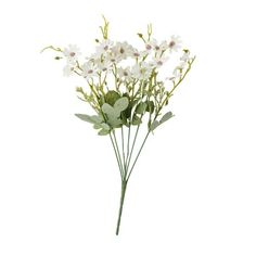 white flowers with green leaves on a white background