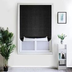 a living room with white walls and black shades on the window sill, potted plant in front of it